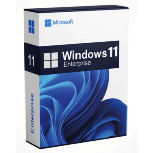 Windows 11 Professional OEM Digital License