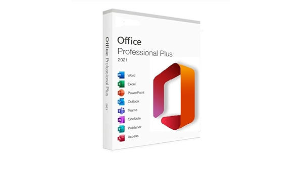 Microsoft Office 2019 Professional Plus Binding License