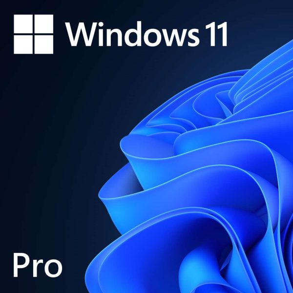 Windows 11 Professional OEM Digital License