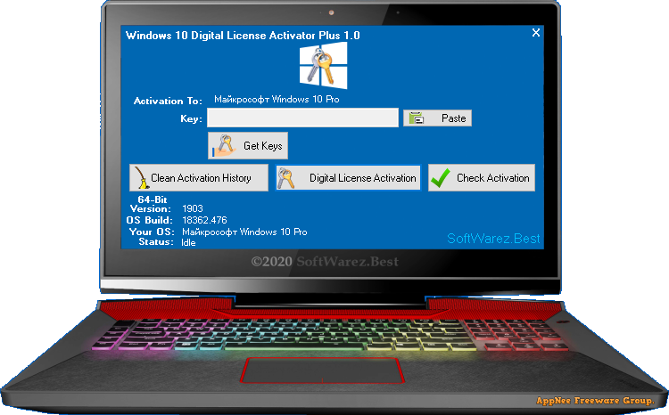 Windows 10 Professional Digital License