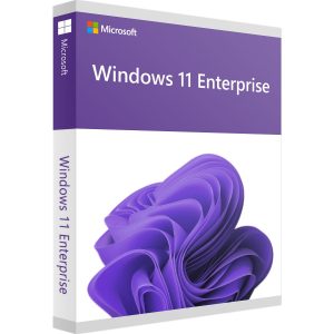 Windows 11 Enterprise Digital License