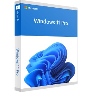 Windows 11 Professional Digital License