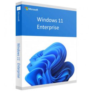 Buy Microsoft Windows 11 Professional Original License Key – License 1 PC